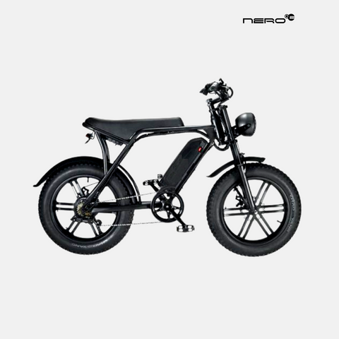 Ricci 8.1 Cafe Racer Type E-Bike 750-1000W with Rear Seat 20er
